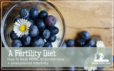 blueberries overlay fertility diet How to Beat PCOS, Endometriosis + Unexplained Infertility