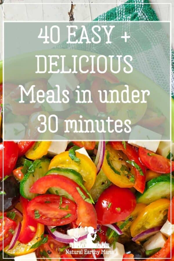 40 Quick and Easy Meals From scratch dinners in under 30 minutes