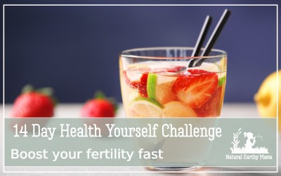Do you want to be more healthy? Do you need to lose weight, beat a chronic illness or simply feel more amazing? Check out our 14 day health yourself challenge e-course. #healthyourself #fitness #healthy #diet #weightloss #pcos #getfit #naturalearthymama