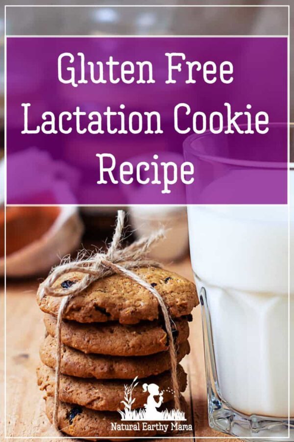 Delicious Gluten Free Lactation Cookie Recipe