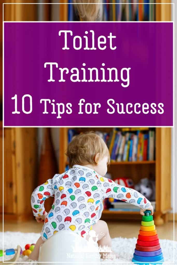 10 Top Tips To Successful Toddler Toilet Training