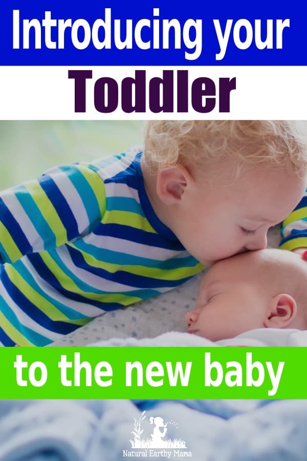 How To Introduce Your Toddler To The New Baby Peacefully