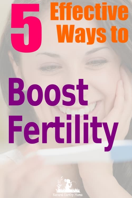 how to increase chances of pregnancy during ovulation natural