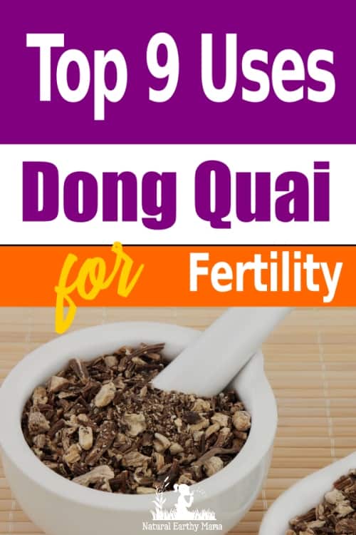 Top 9 Benefits of Dong Quai for Fertility