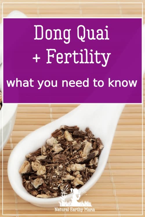 Top 9 Benefits of Dong Quai for Fertility