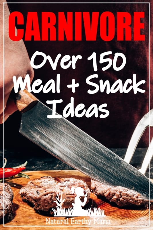 Easy Carnivore Meals and Snack Ideas